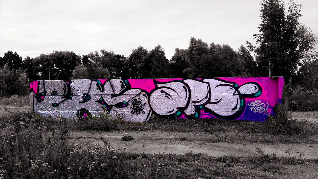 Graffiti Photo by AGON - BRS, APS, PULS (2016)