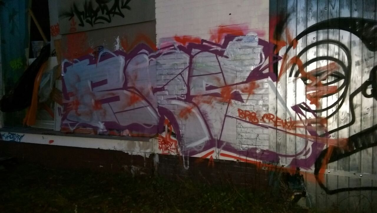 Graffiti Bombing - Photo by AGON - BRS, Puls (2014)