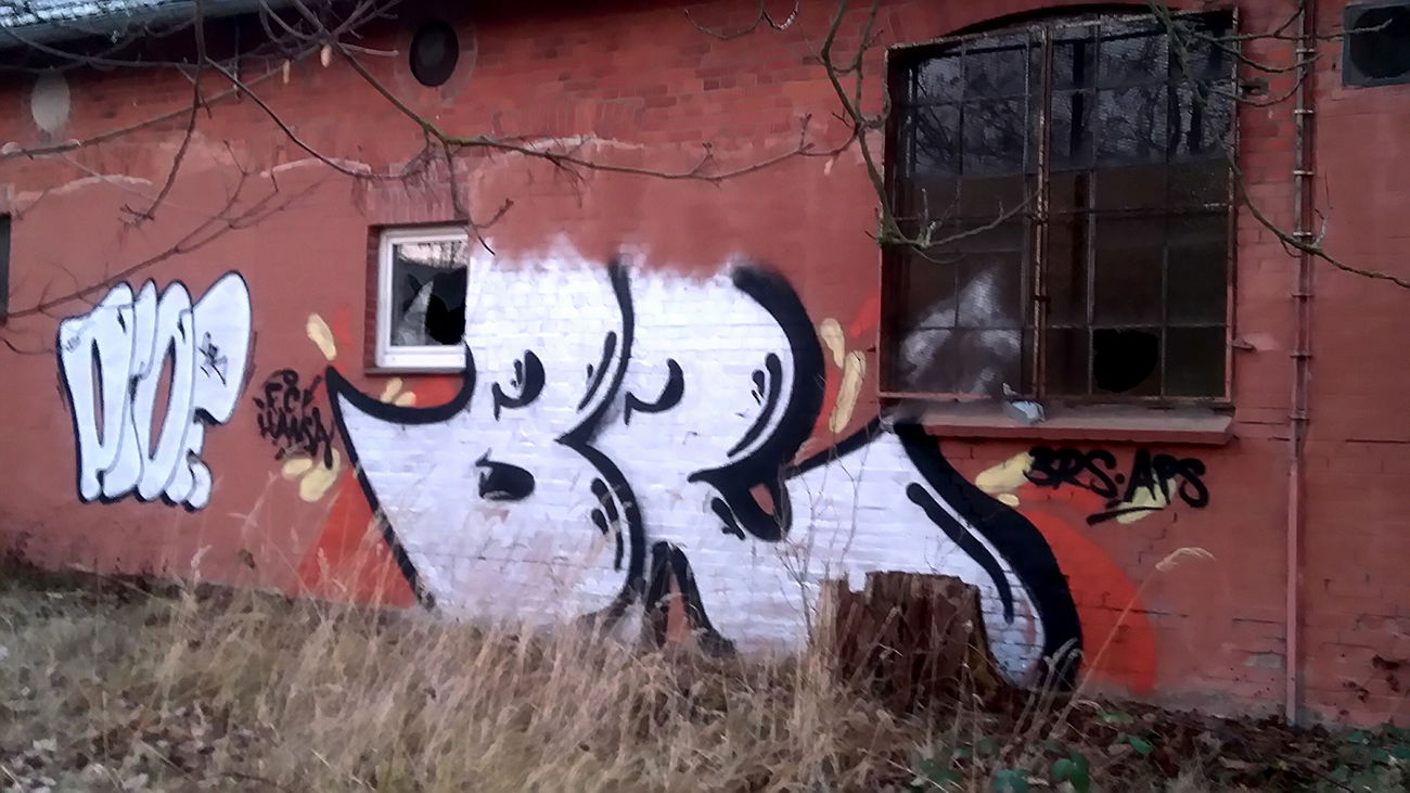 Graffiti Bombing - Photo by AGON - BRs, APS, Puls