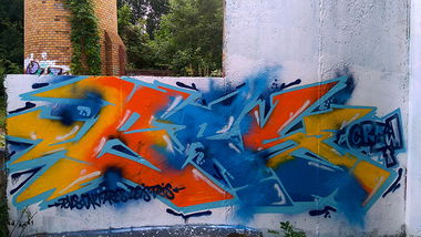 Graffiti Wall - Photo by AGON - BRS, CREW, PULS (2016)