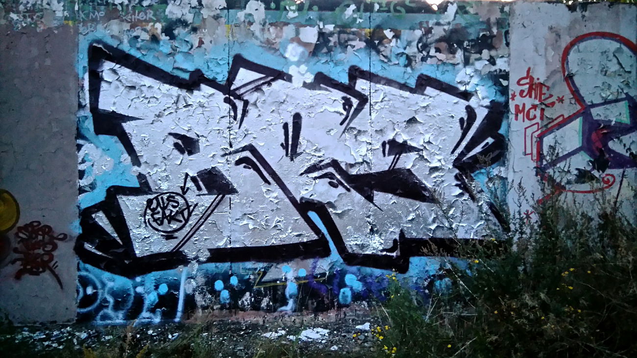 Graffiti Bombing - Photo by AGON - BRS, APS, PULS (2016)