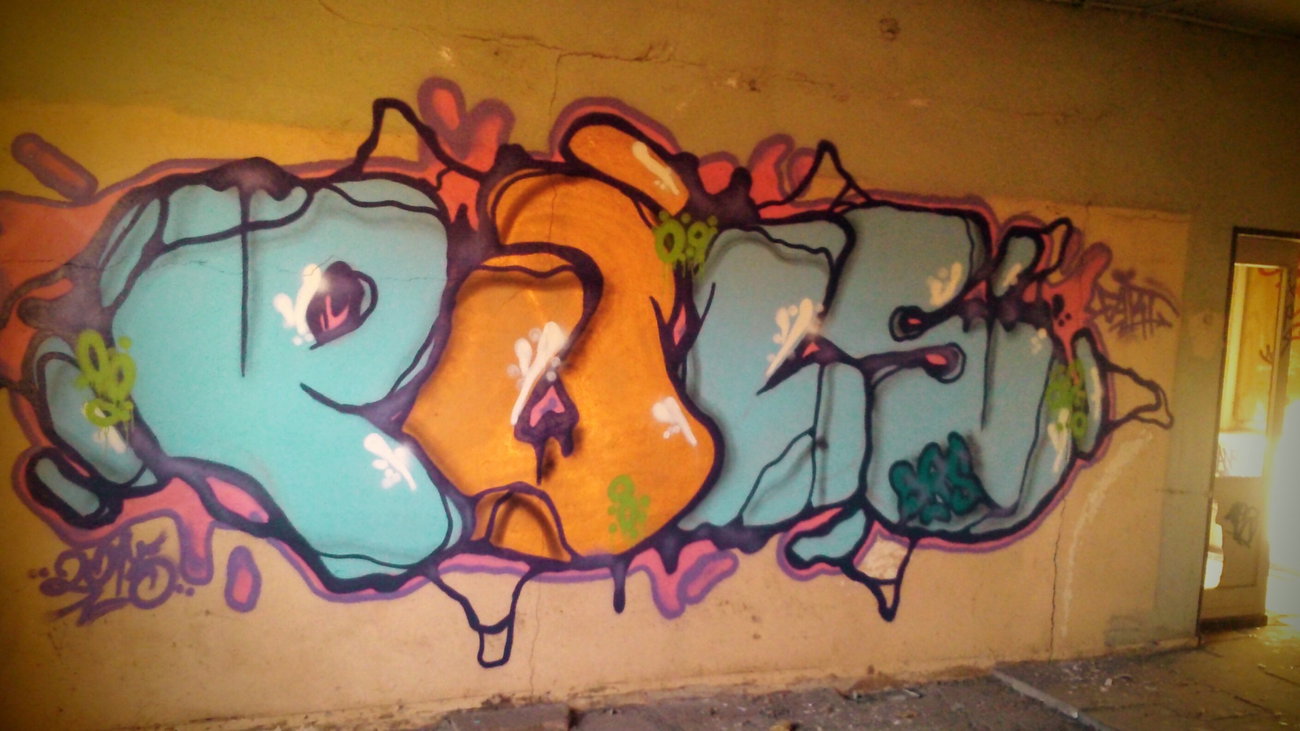 Graffiti Wall - Photo by AGON - Puls, BRS (2015)
