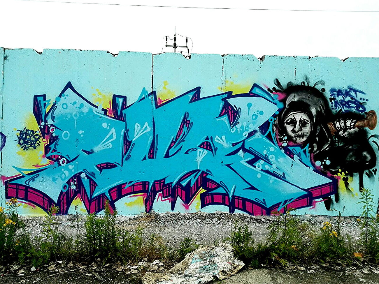 Graffiti Wall - Photo by AGON - BRS, CREW, PULS (2016)