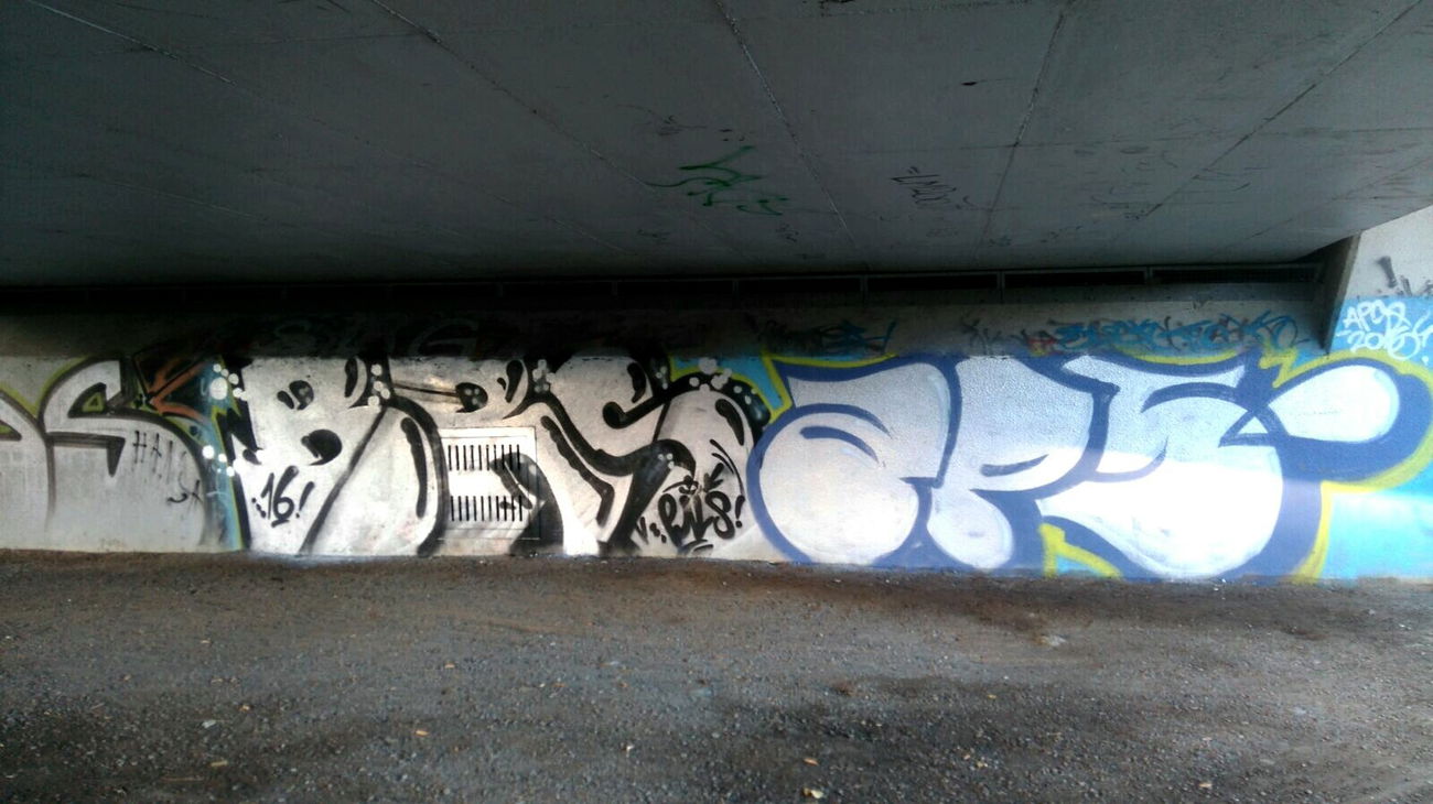 Graffiti Photo by AGON - BRS, APS, PULS (2016)