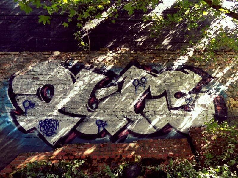 Graffiti Wall - Photo by AGON - Puls, BRS (2015)