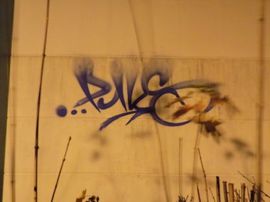 Graffiti Street Art - Photo by AGON - puls (2014)