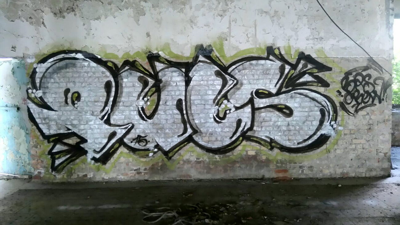Graffiti Bombing - Photo by AGON - Puls, BRS, APS (2015)