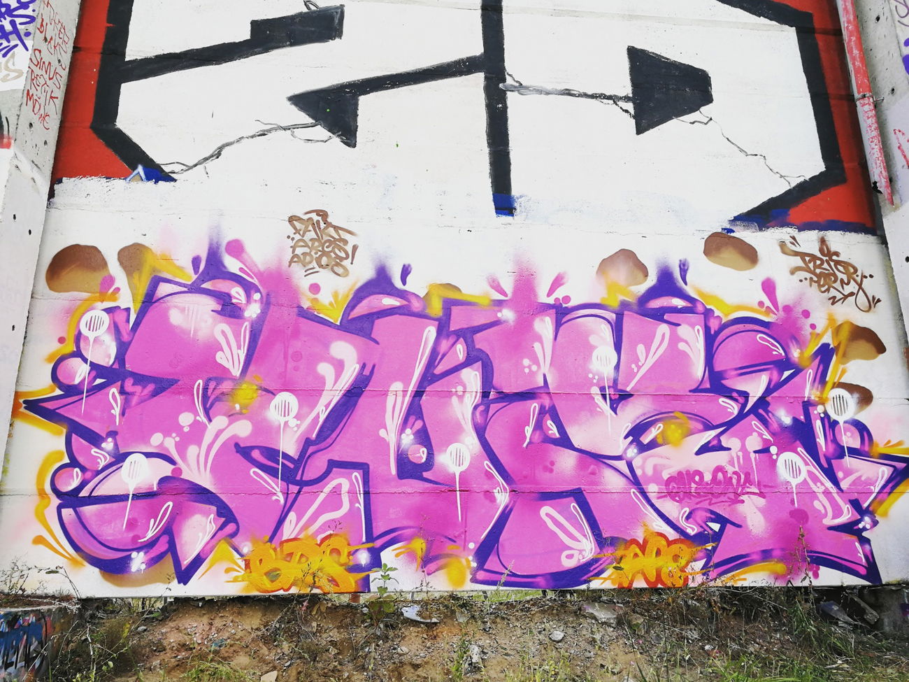 Graffiti Wall - Photo by AGON - Puls, Brs, aps