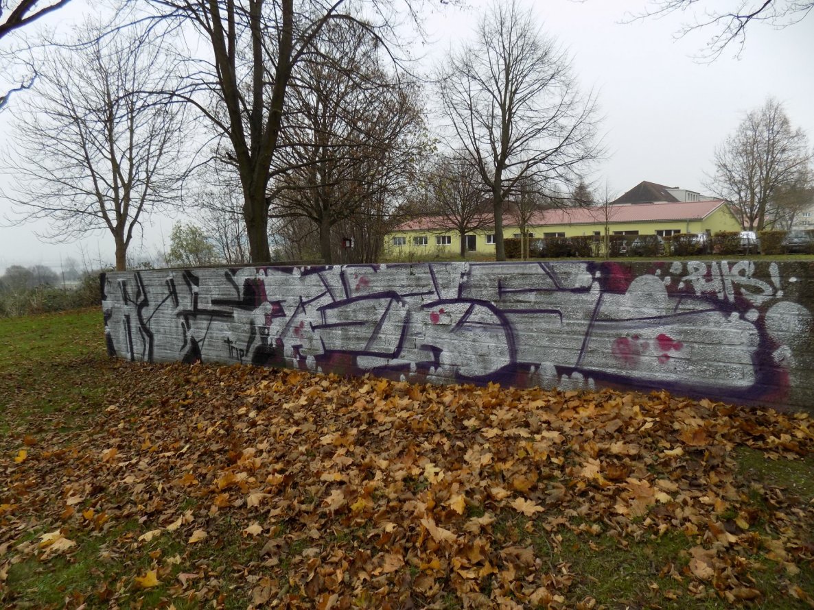 Graffiti Bombing - Photo by AGON - BRS, APS (2014)