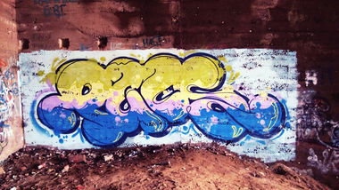 Graffiti Wall - Photo by AGON - Puls, BRS (2015)