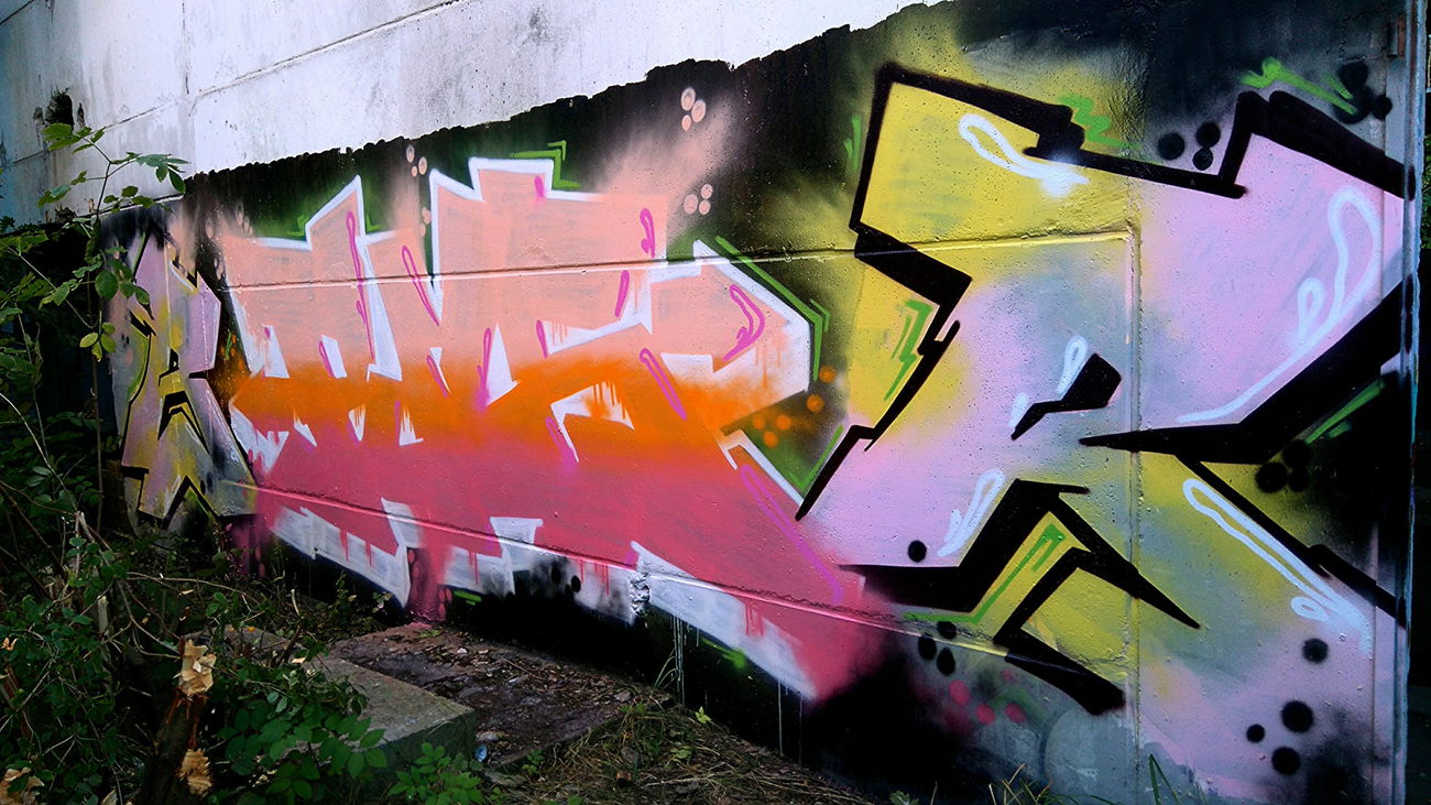 Graffiti Wall - Photo by AGON - BRS, APS, PULS (2016)