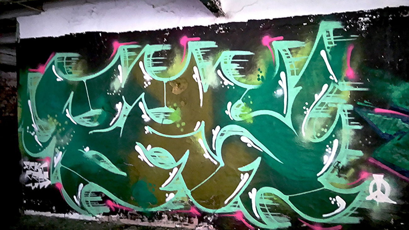 Graffiti Wall - Photo by AGON - BRS, CREW, PULS (2016)