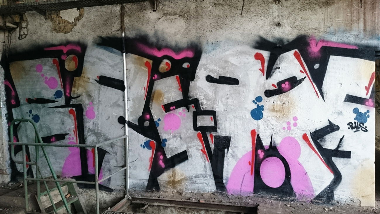 Graffiti Wall - Photo by AGON - Puls, BRsAPS (2017)