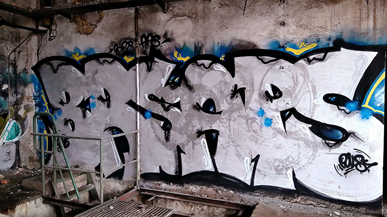 Graffiti Bombing - Photo by AGON - BRS, APS, Puls (2016)