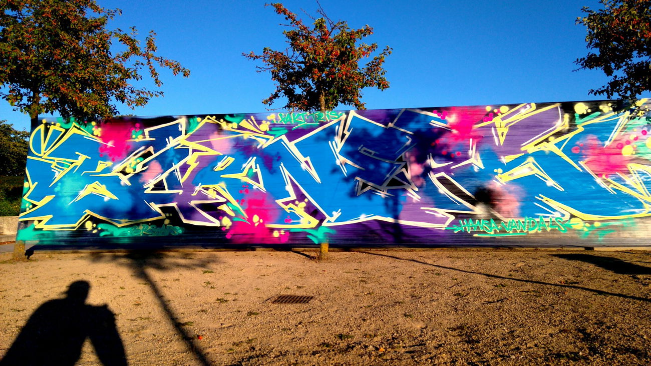 Graffiti Wall - Photo by AGON - Puls, BRS, APS (2016)