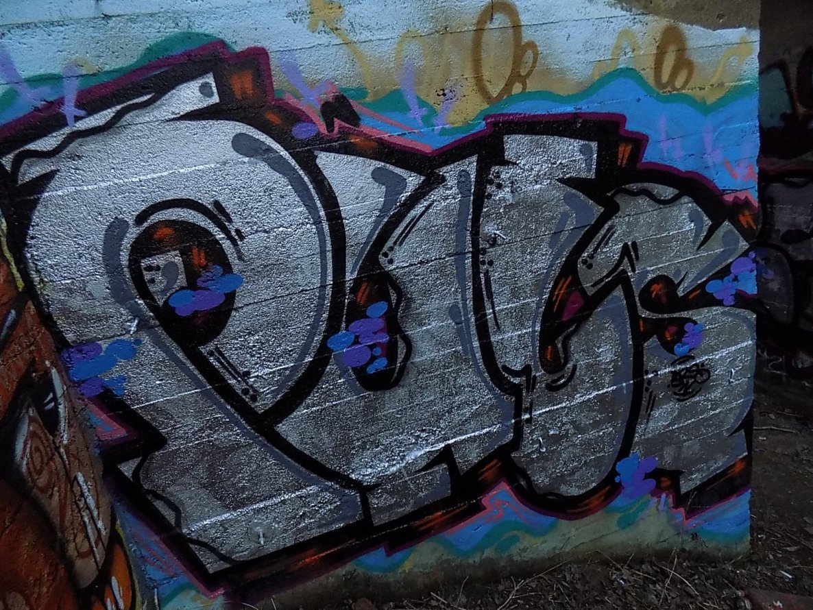 Graffiti Bombing - Photo by AGON - Puls (2015)