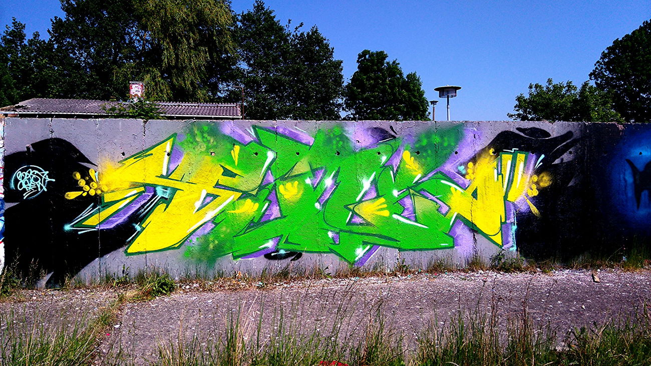 Graffiti Wall - Photo by AGON - BRS, CREW, PULS (2016)