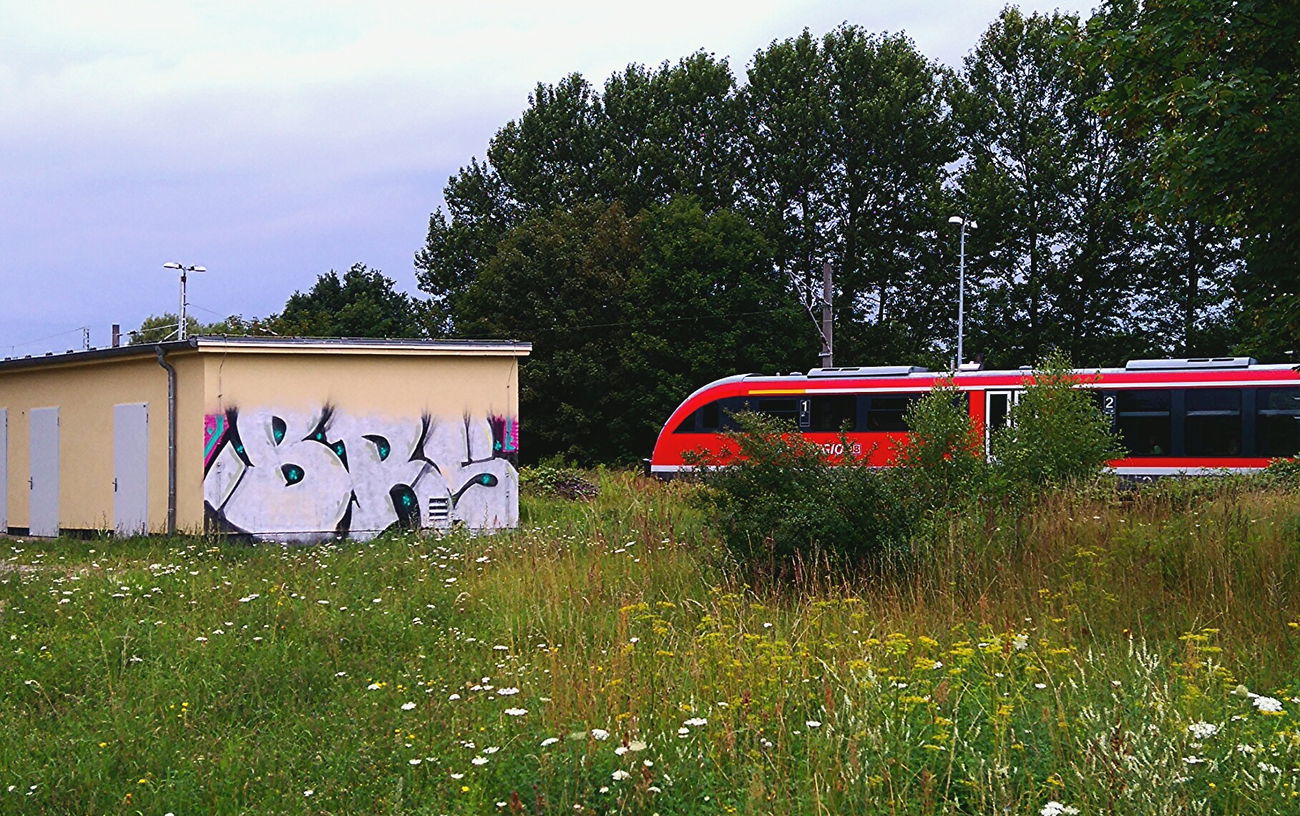 Graffiti Bombing - Photo by AGON - BRS, APS (2016)