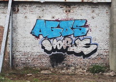 Photo #237470 by iobe1