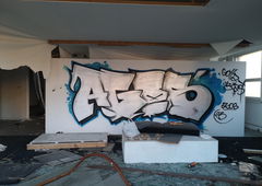 Photo #240129 by iobe1