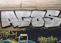 Photo #237446 by iobe1