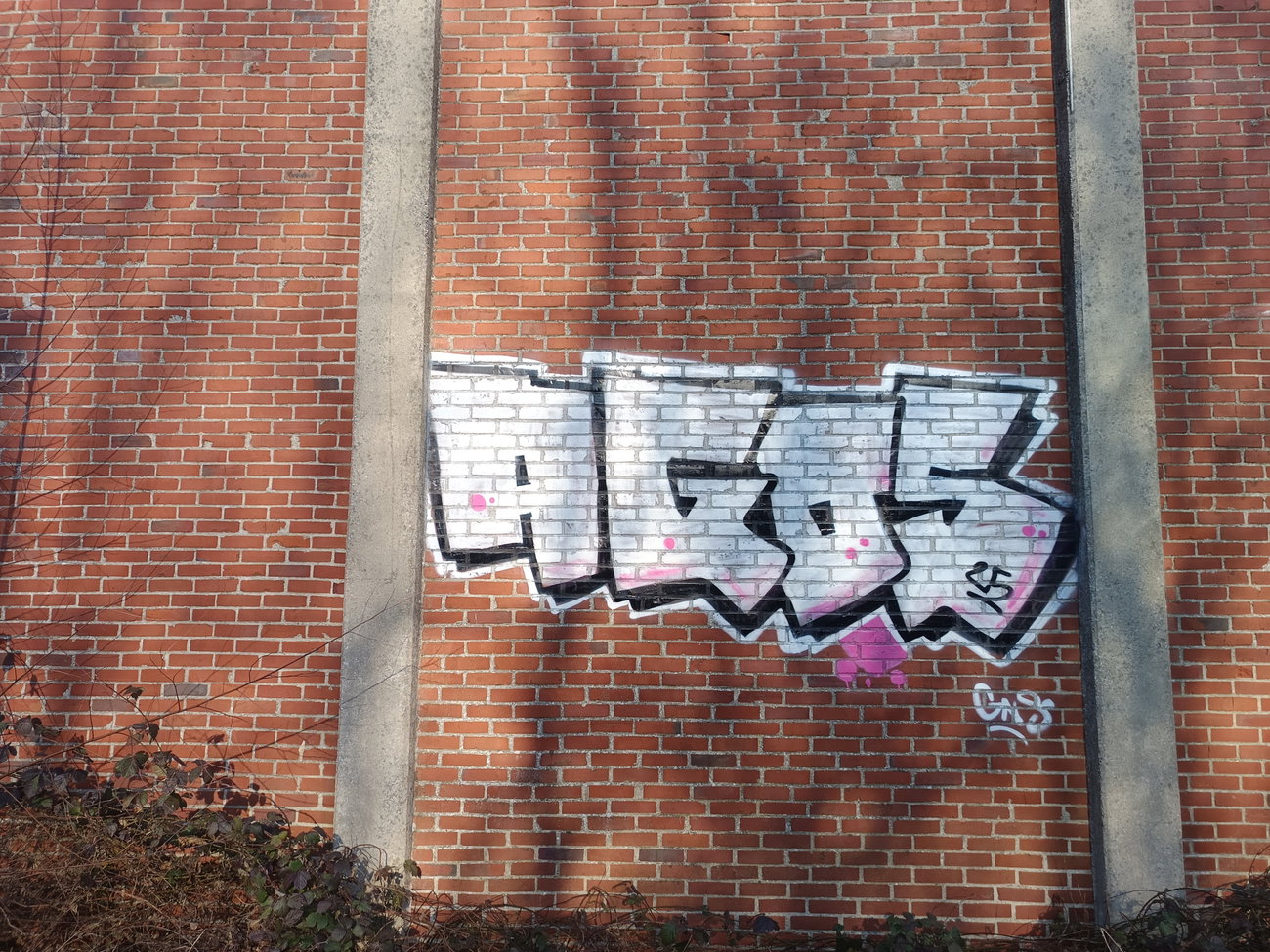 Graffiti Bombing - Photo by AGOS99