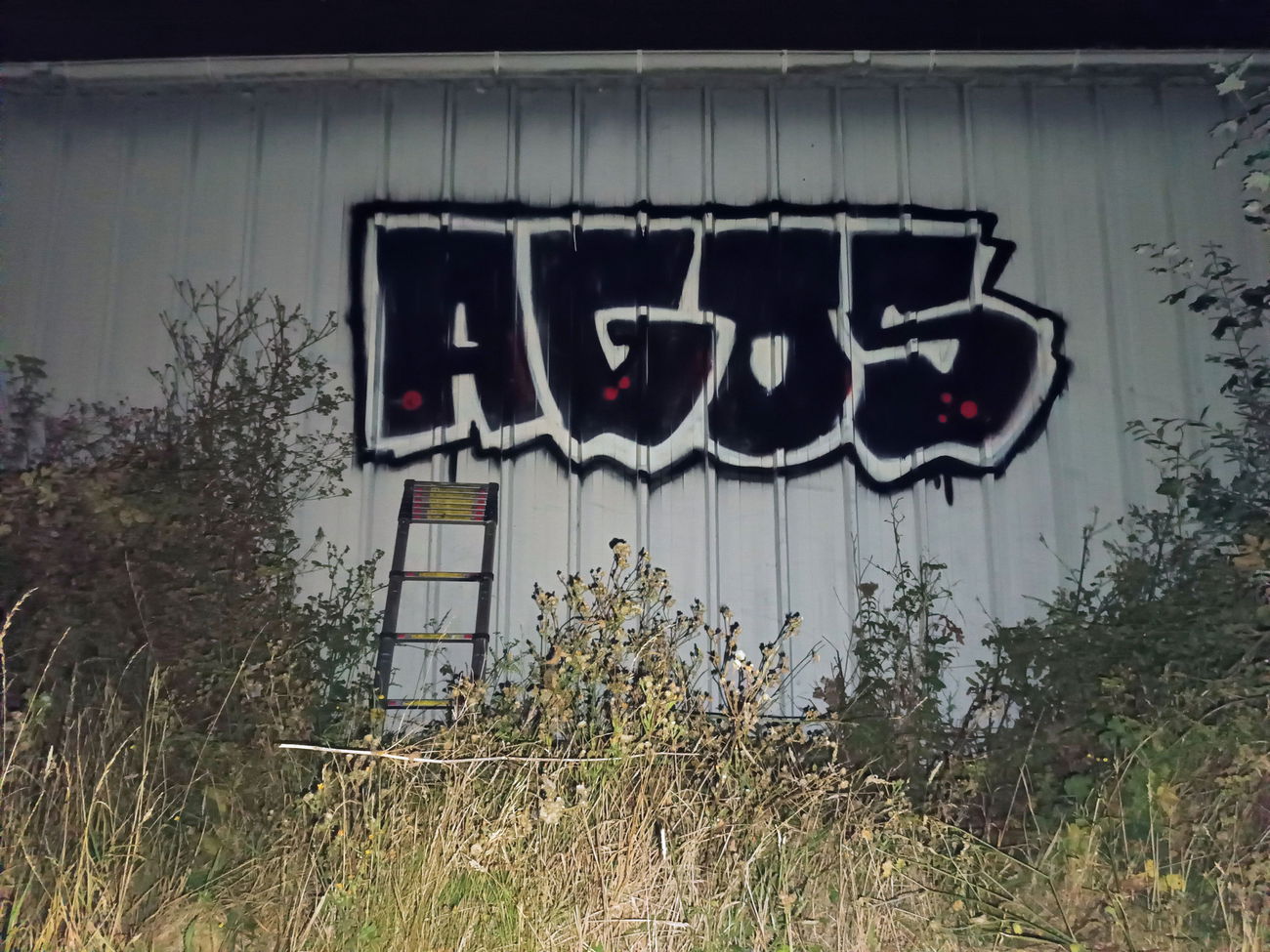 Graffiti Wall - Photo by AGOS99