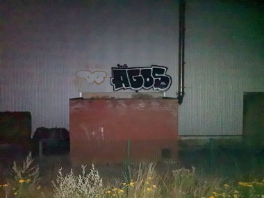 Graffiti Bombing - Photo by AGOS99