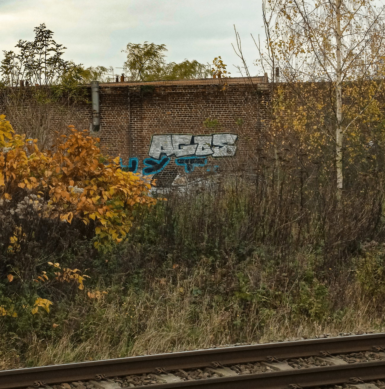 Graffiti Artwork - Photo by AGOS99 (2022)