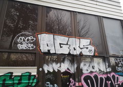 Photo #240068 by iobe1