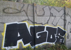 Photo #237378 by iobe1