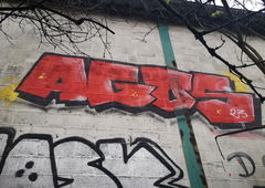 Photo #239432 by iobe1