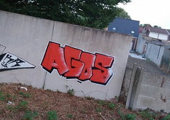 Photo #237436 by iobe1