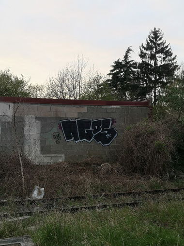 Graffiti Wall - Photo by AGOS99