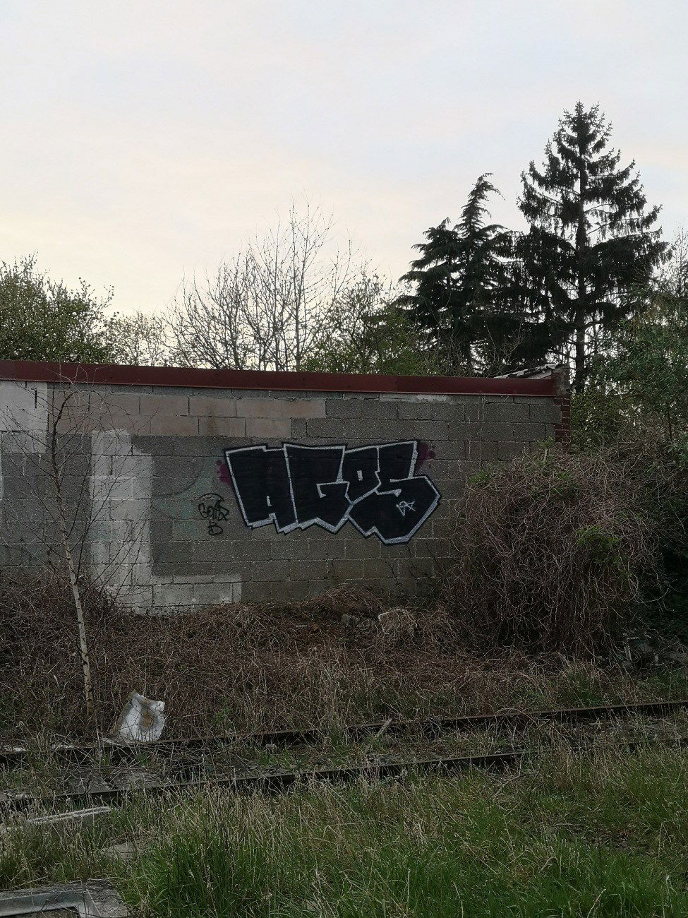 Graffiti Wall - Photo by AGOS99