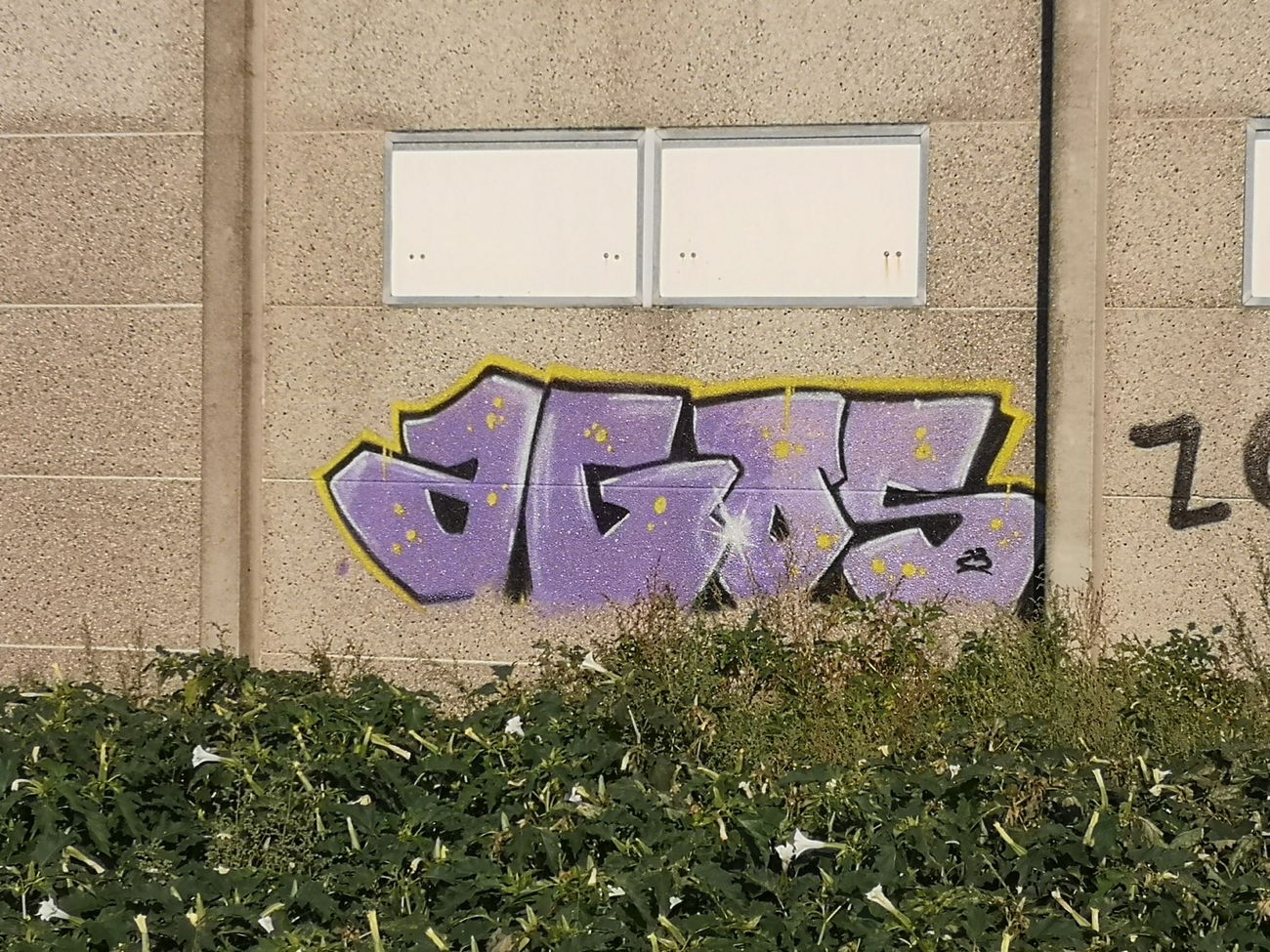 Graffiti Wall - Photo by AGOS99