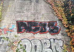 Photo #239433 by iobe1