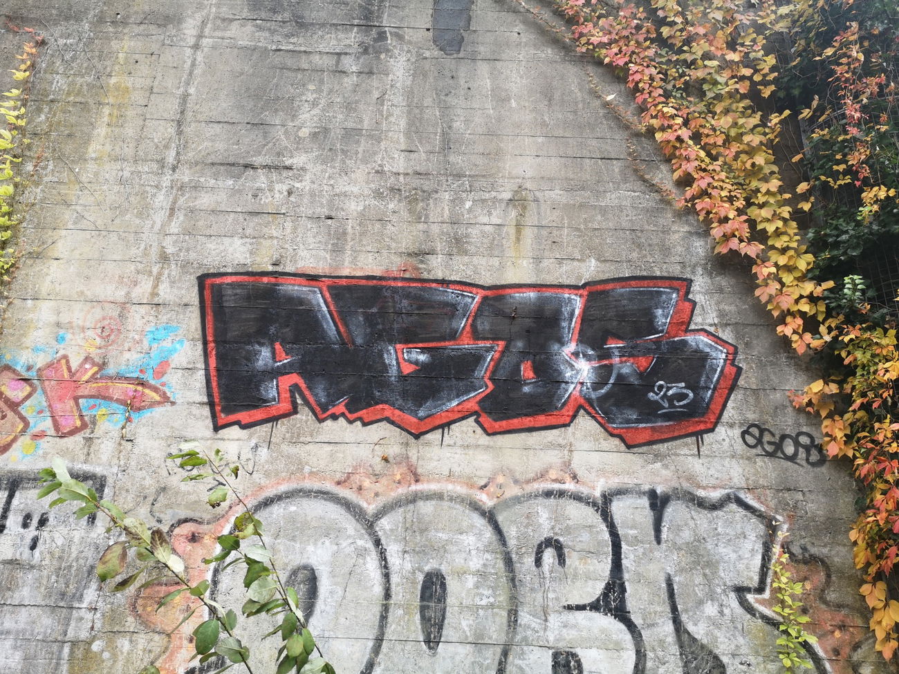 Graffiti Wall - Photo by AGOS99