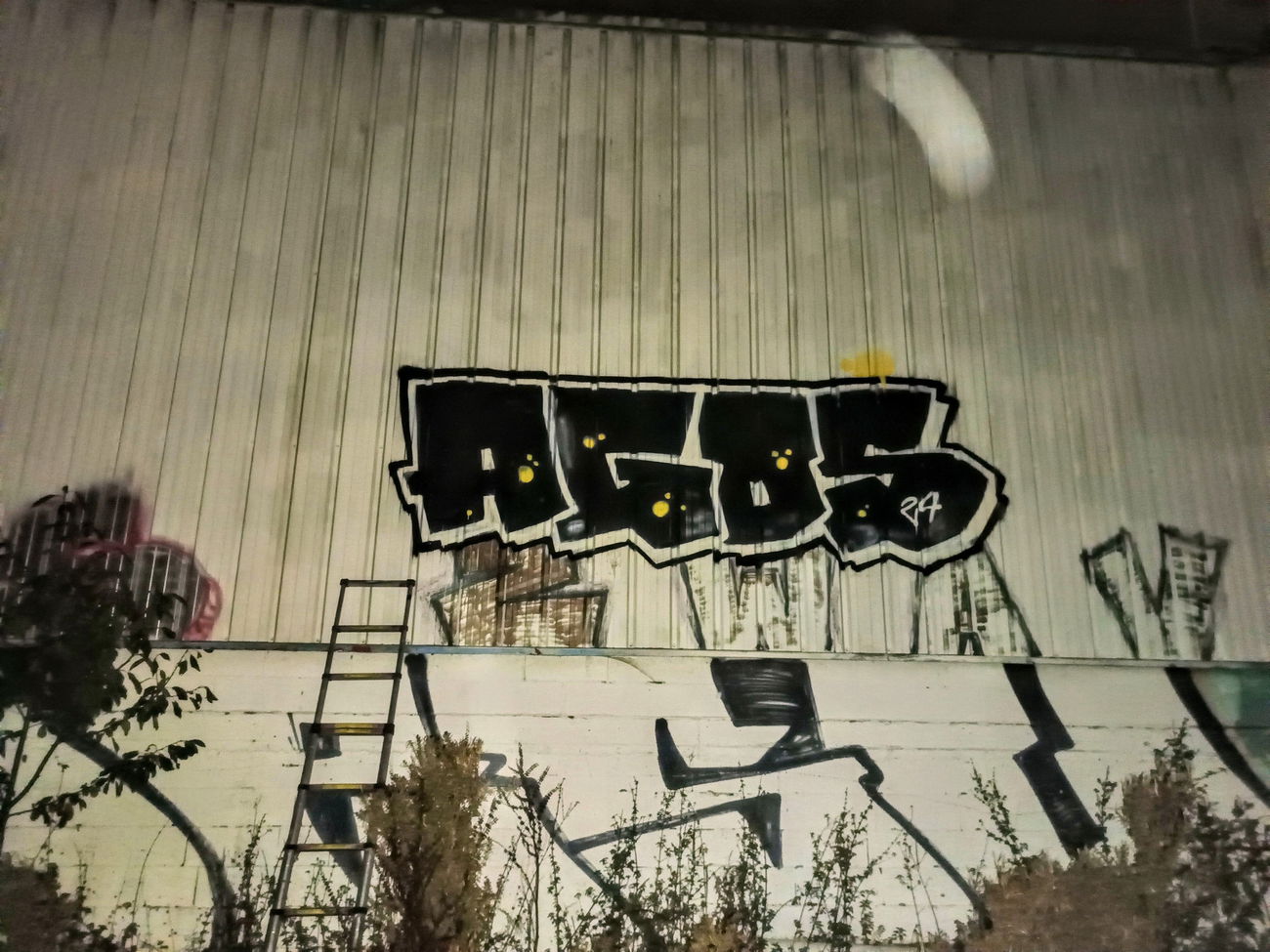 Graffiti Bombing - Photo by AGOS99