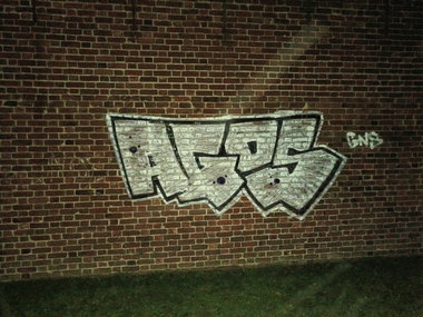 Graffiti Bombing - Photo by AGOS99