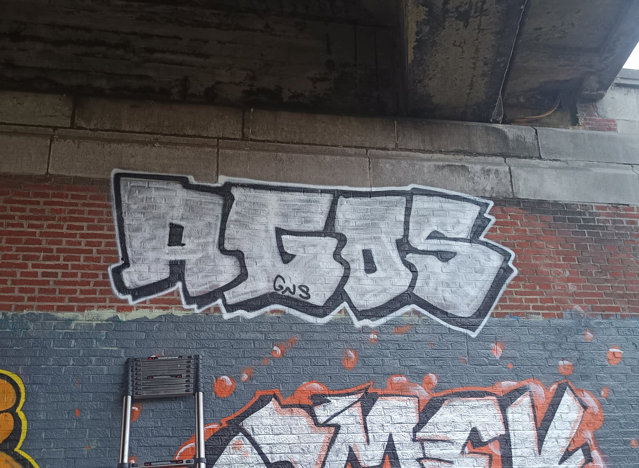 Graffiti Bombing - Photo by AGOS99