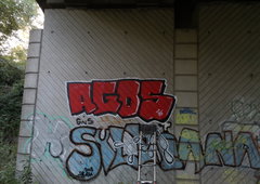 Photo #251390 by iobe1