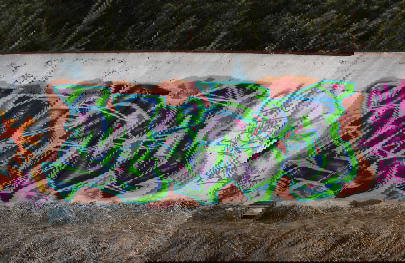 Graffiti Wall in Grudziadz - Photo by AGR - colors, legal, wall (2013)