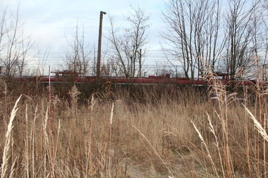 Graffiti Train - Photo by AGR