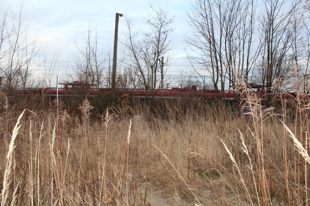 Graffiti Train - Photo by AGR