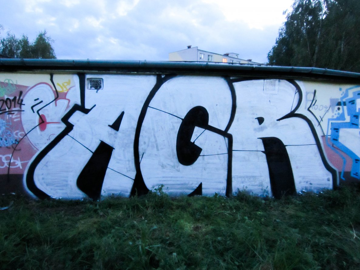 Graffiti Wall - Photo by AGR - AGR (2014)