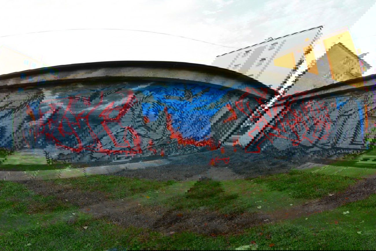 Graffiti Wall - Photo by AGR - BLEF, MINA (2014)