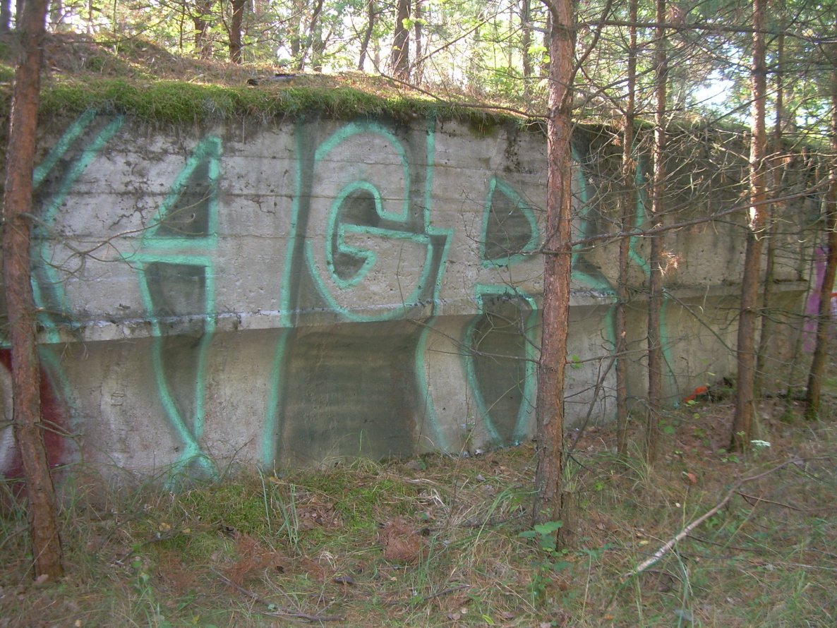 Graffiti Bombing in Poland - Photo by AGRgdz - AGR (2014)
