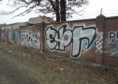 Photo #141012 by TehsKPS