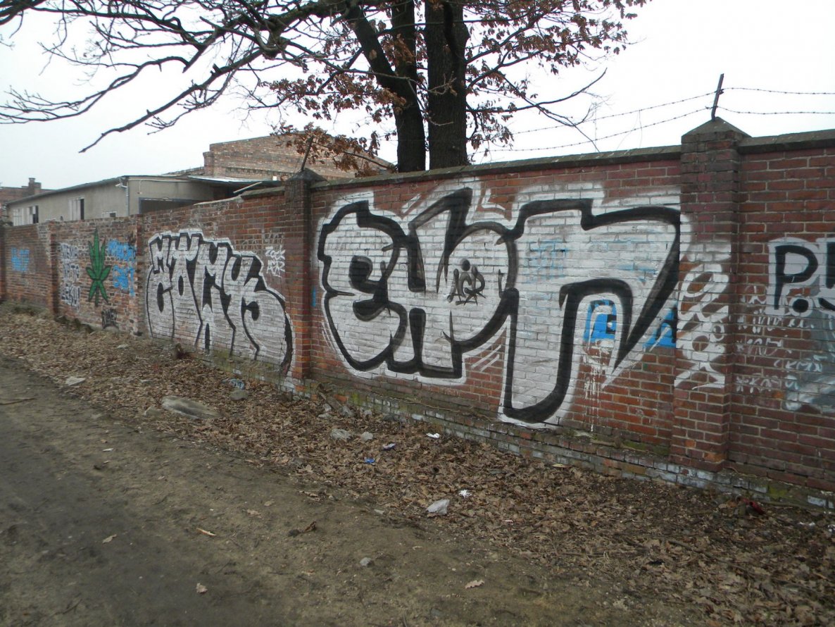 Graffiti Bombing - Photo by AGRgdz
